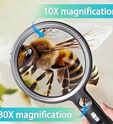 magnifying glass with light