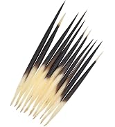 10Pcs Black Porcupine Quills Hair Stick Indian Crafts Accessories Fishing Buoy DIY Sewing Project...