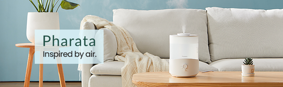 cool mist humidifier