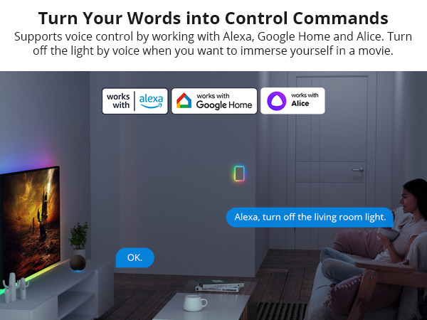 voice control