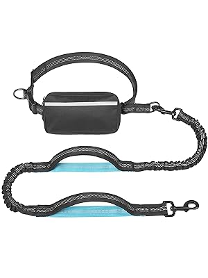 hands free dog leash