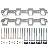 TEMSONE LS1 Cathedral Port Cylinder Head to LS3 LSA ZL1 CTS-V Rectangle Adapters - Silver