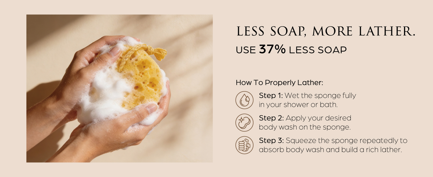 shower sponge