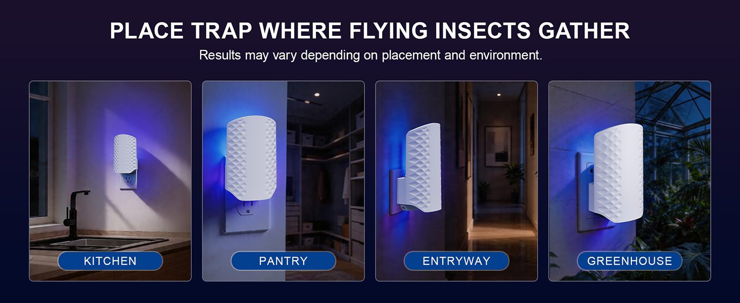fruit fly traps for indoors