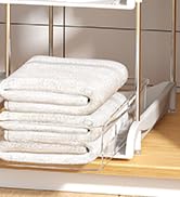 under sink organizer
