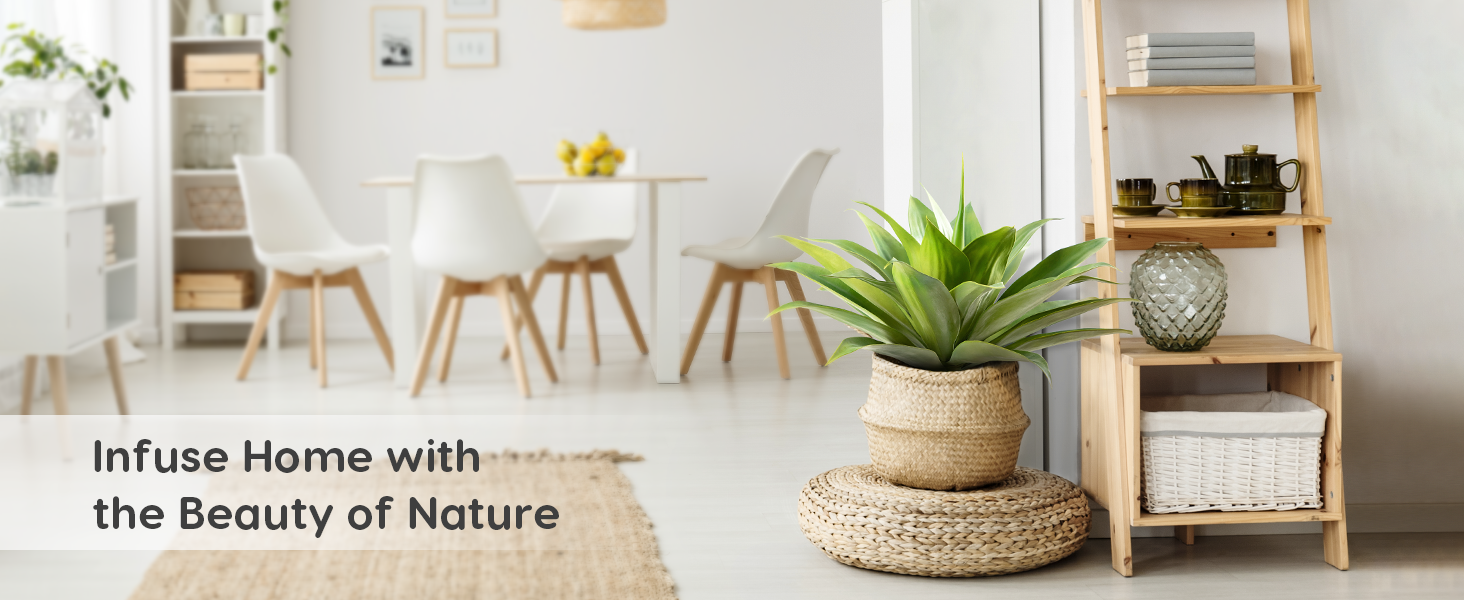 Infuse home with the beauty of Nature