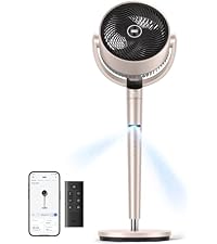 https://m.media-amazon.com/images/I/31RkX8t1elL.__AC_SR200,225___.jpg