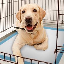 Pet Pad for Crate and Kennel