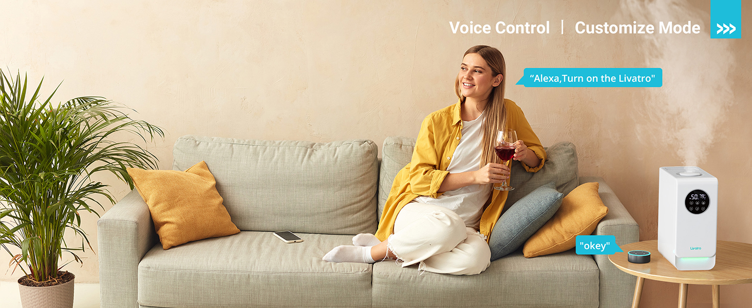 Alexa Vioce Control
