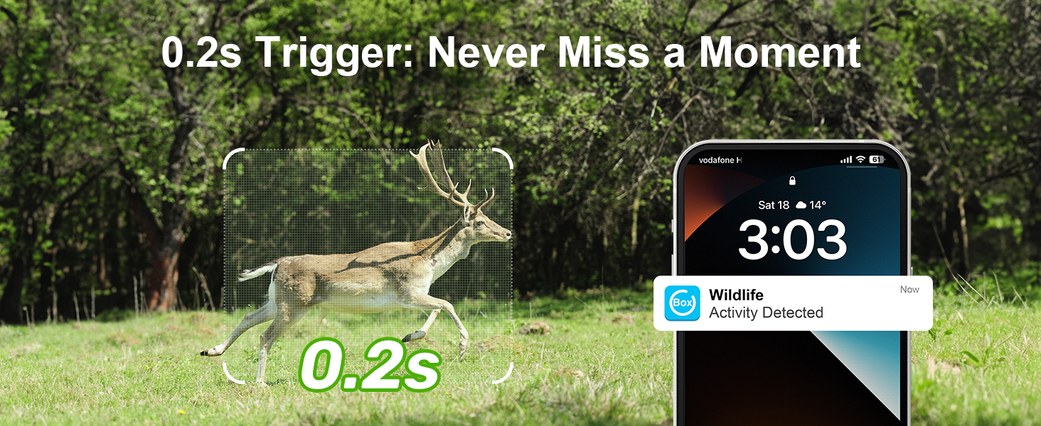 0.2s Trigger: Never Miss a Moment