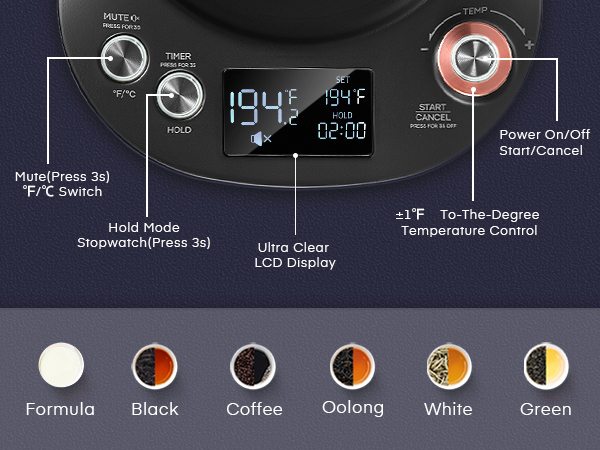 Electric Gooseneck Kettle Temperature Control