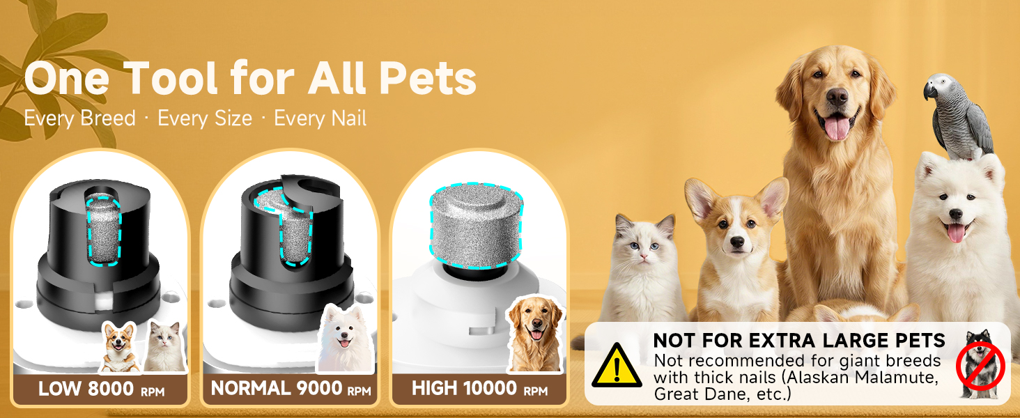 One Tool for All Pets