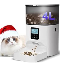 https://m.media-amazon.com/images/I/41kiwgcXNWL.__AC_SR200,225___.jpg