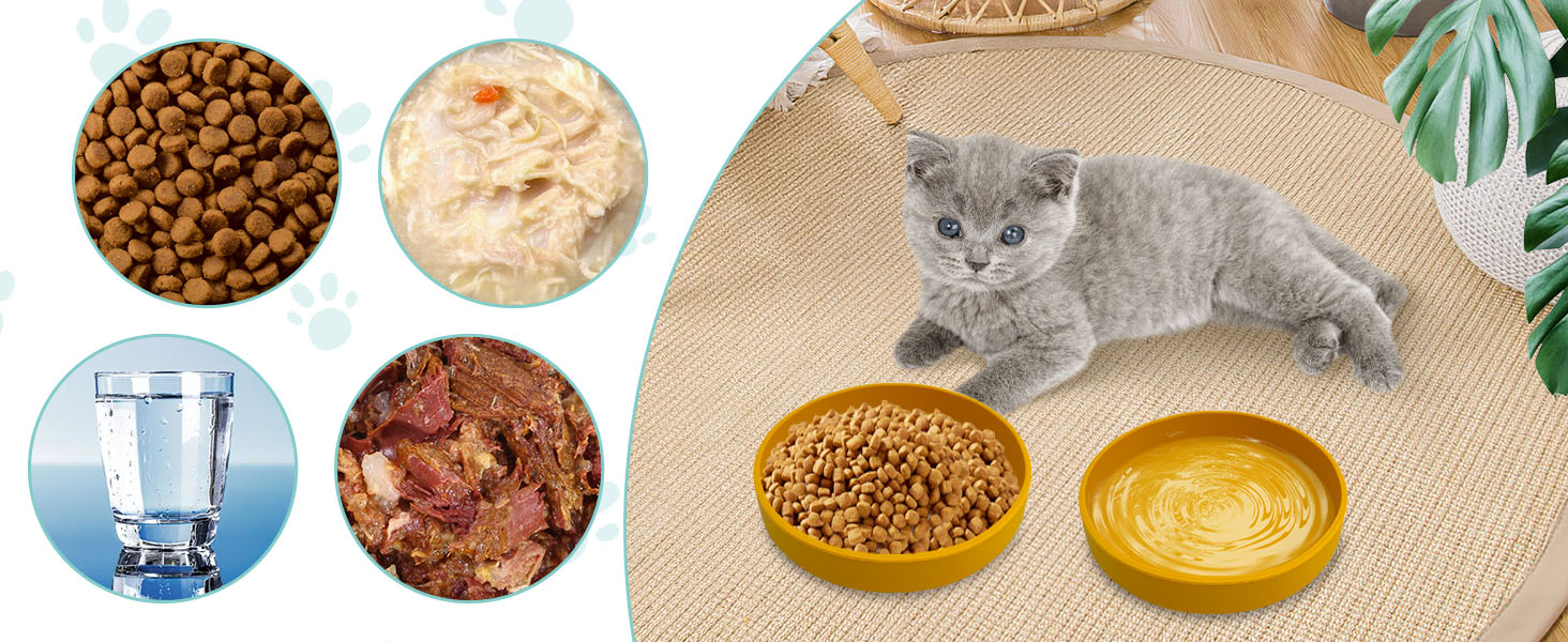 puppy dishes for food and water cat plates whisker friendly cat wet food plate