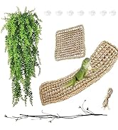 MUYG 4PCS Bearded Dragon Climbing Accessories,Seagrass Bearded Dragon Hammock with Suction Cup Re...