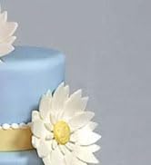 acrylic cake disk