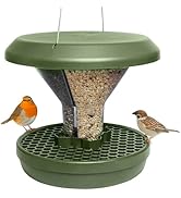 Green hanging bird feeder with wide roof, filled with seeds. Funnel-shaped transparent container, perforated base platform. Two small birds perched on opposite sides.
