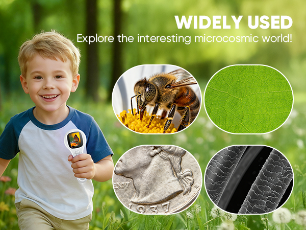 digital microscope handheld