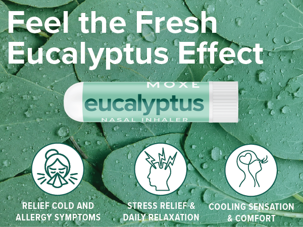 eucalyptus nasal inhaler stick for congestion and sinus relief
