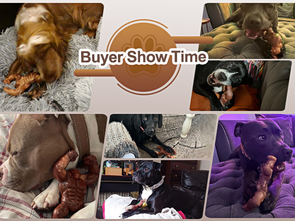 dog toys for aggressive chewers