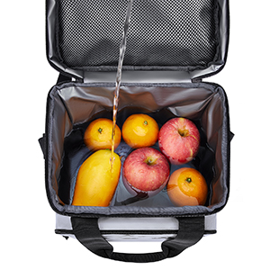 Lunch Bag