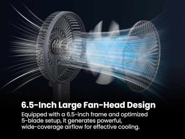 Personal Hand Held Fan