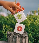 cleanse spearmint