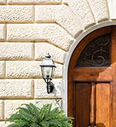 boston fern