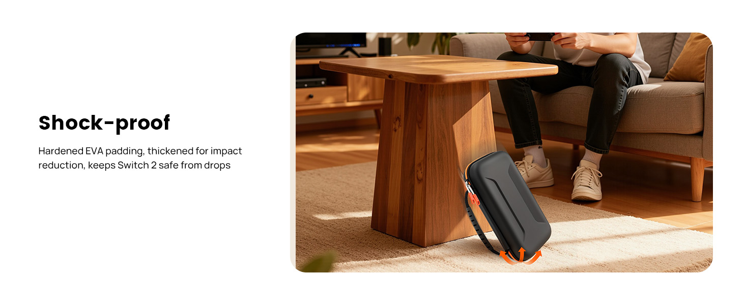 switch 2 carrying case