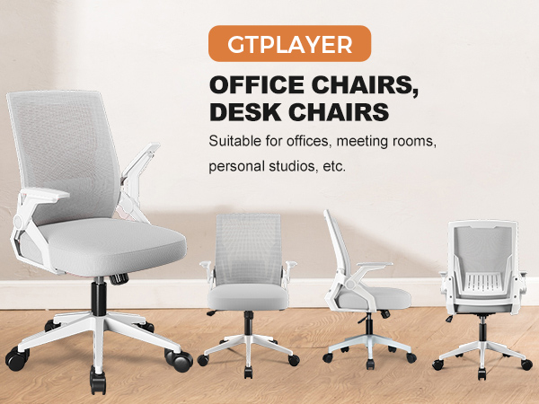 Ergonomic Office Chair
