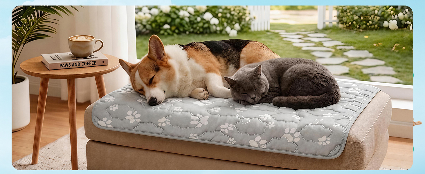 dog cooling mat