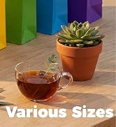 SUNCOLOR Large Paper Gift Bags with Handles, Rainbow Colors, 13x10x5.5 Inch, 24 Pack, for Birthda...