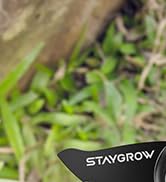 Pruning Shears