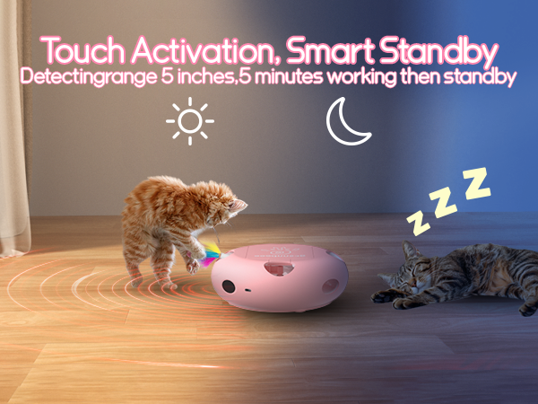 cat toys