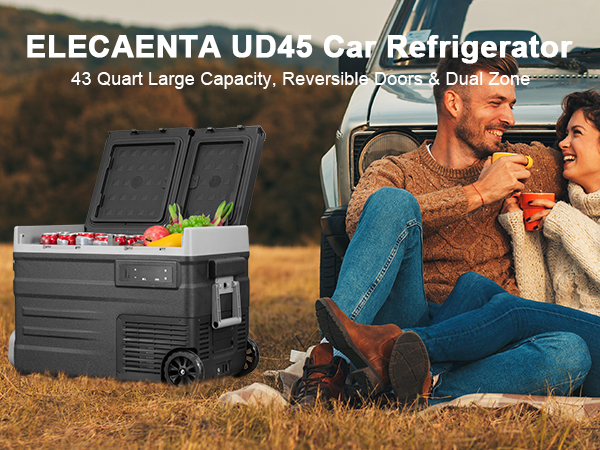 car refrigerator