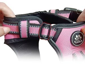 dog harness