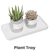 Plant Tray