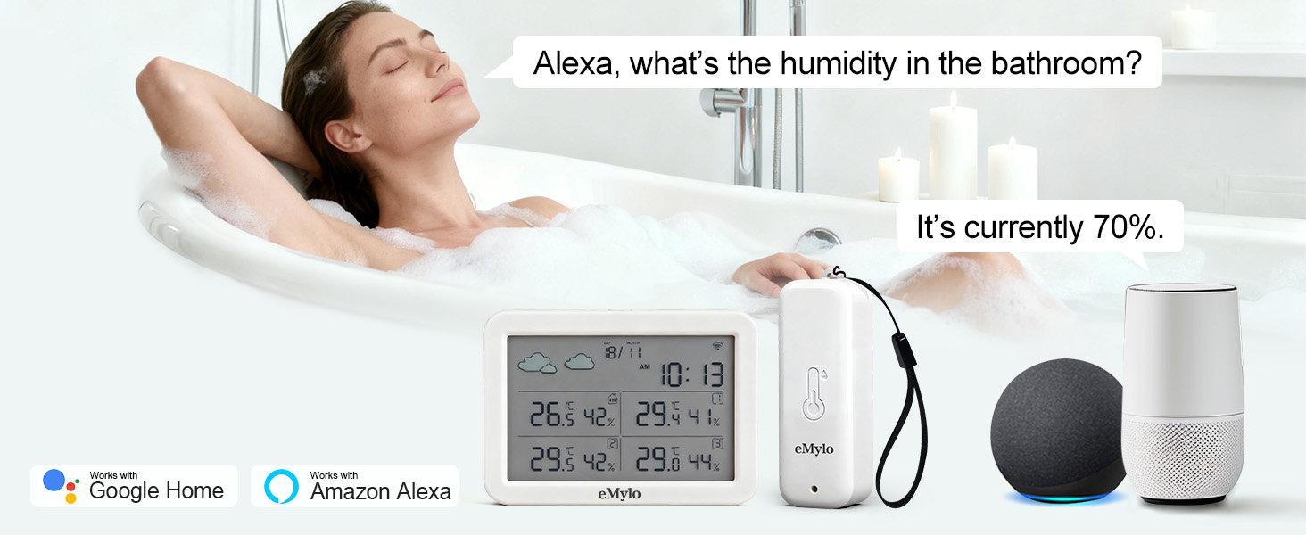 temperature and humidity monitor