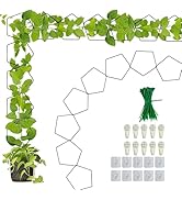 20 PCS Chain Trellis for Climbing Plants, Wall Trellis for Climbing Plants Indoor Outdoor Housepl...
