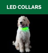 light up LED dog collar furhaven