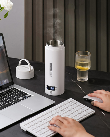 portable electric kettle