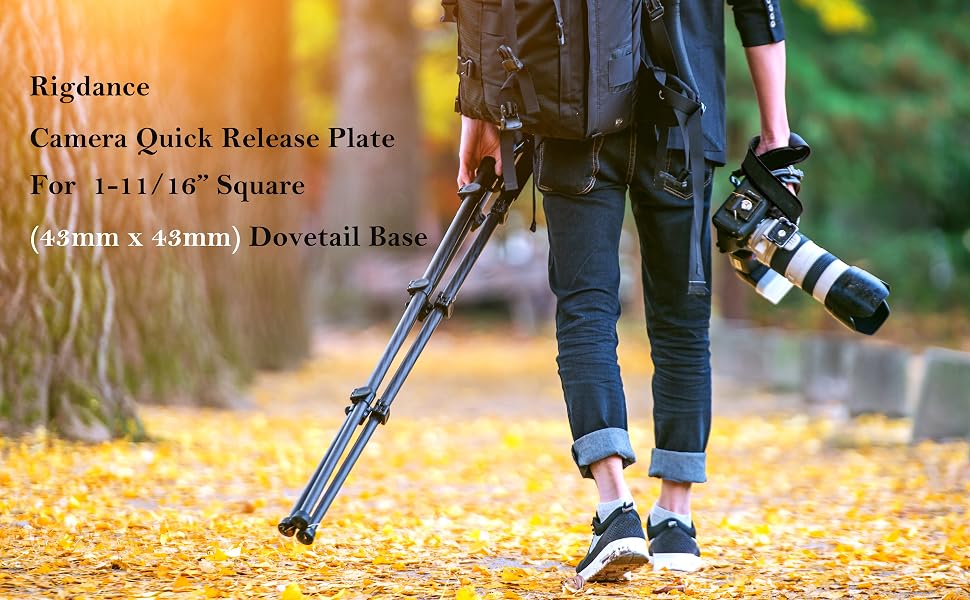 43mm tripod plate