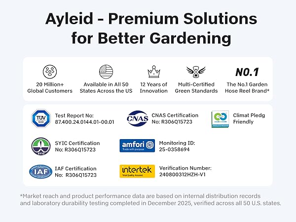 Why Choose Ayleid