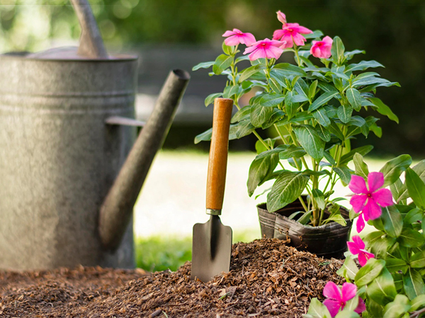 Succulent Tools Set Meet Your Various Needs For Plant Growing