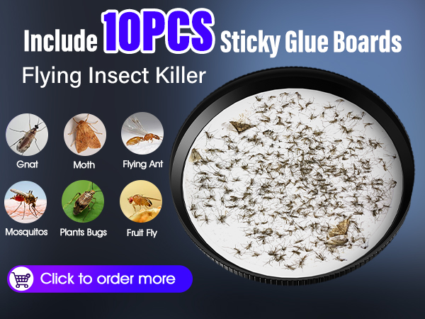 Sticky Glue Boards