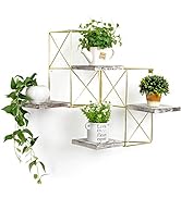 J JACKCUBE DESIGN Wall Mounted Floating Shelves, Set of 2 Gold Frame and Rustic Wooden Planter Di...