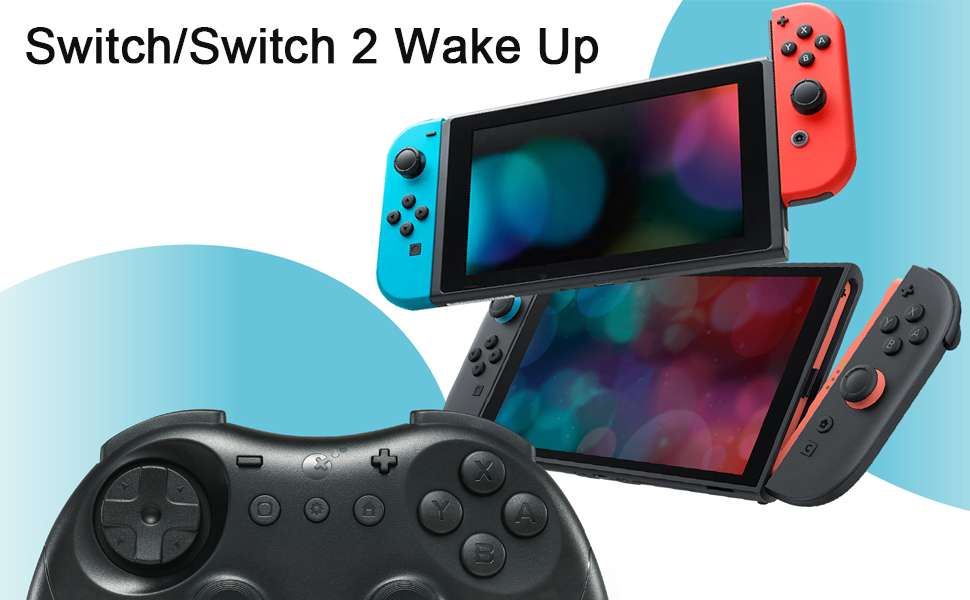 switch controller