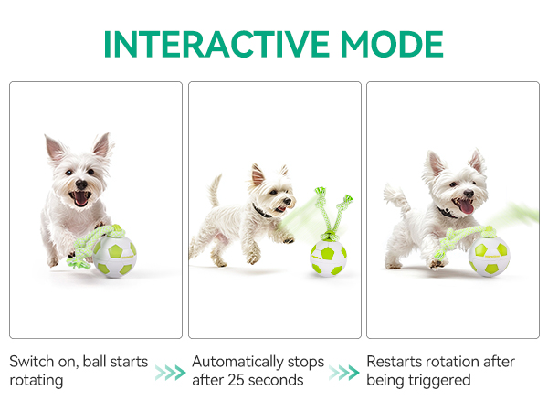 dog ball