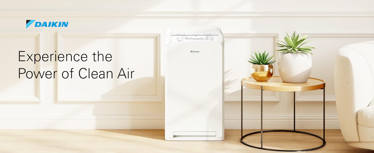 Experience the power of clean air for home and office