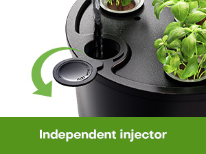 Fresh Herbs